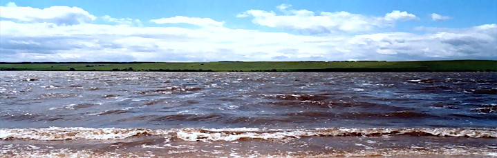 Тьюторские посиделки - 2